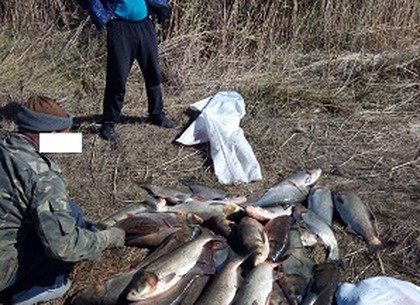 Больше центнера незаконно добытой рыбы изъяли у браконьеров под Харьковом