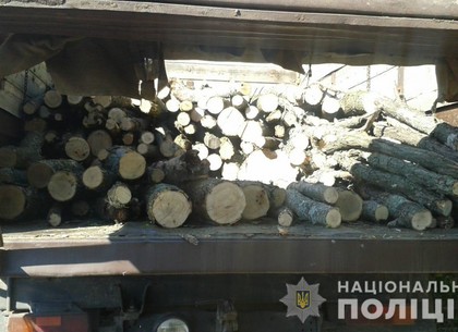 У Укрзалізниці вырубили лесополосу (ФОТО)