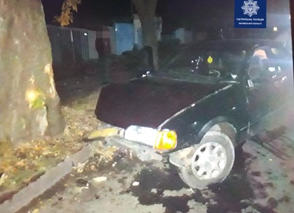 Ночью пьяный без прав врезался в дерево на Одесской