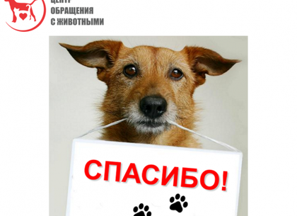 Опыт Харьковского приюта для животных будут перенимать в Борисполе