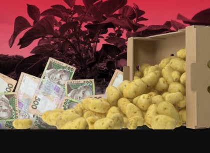В Харькове обрушиваются цены на картофель