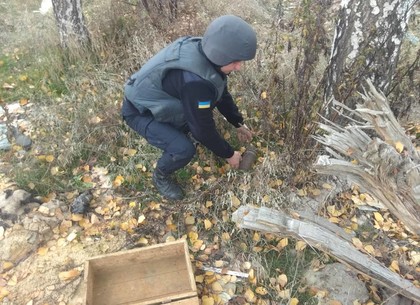 В Харьковской области в посадке возле села нашли арсенал снарядов времен войны