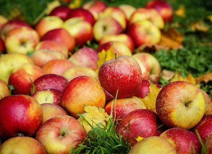 Спрос со стороны оптовиков оказывает поддержку ценам на рынке украинского яблока