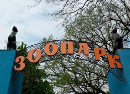 Селфи на съедобном фотоаппарате самого большого именинника харьковского зоопарка (ФОТО, ВИДЕО)