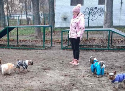 В Шевченковском районе открыли площадку для выгула собак