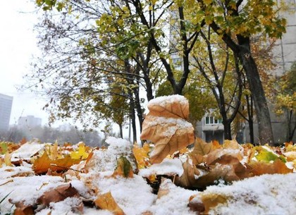 Харькову обещают первый снег: прогноз погоды и магнитных бурь на среду, 27 ноября