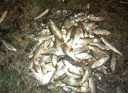 Ночью на запрещенную рыбалку: патруль поймал нарушителя (ФОТО)