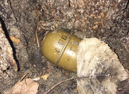 Дворник нашел гранату по дворе многоэтажки (ФОТО)