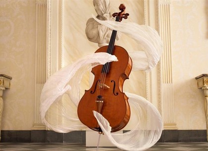 29 декабря – Международный день виолончели