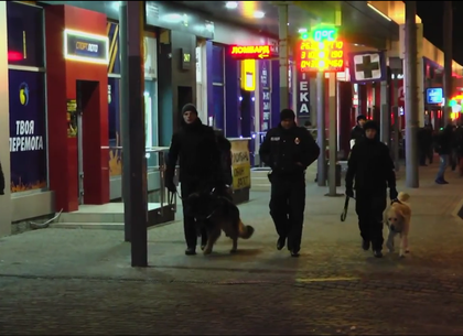 Тринадцать сотен полицейских выйдет на охрану порядка в новогоднюю ночь
