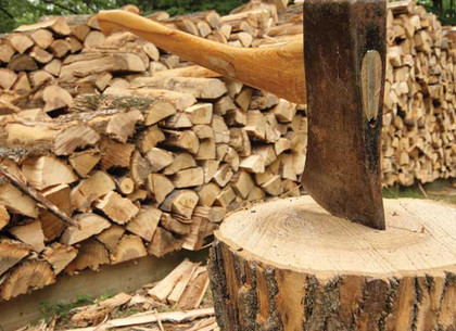 Жители области погорели на честно купленных дровах