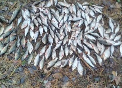 Рыбак пришел на водохранилище с запрещенной сетью и наловил тройную норму рыбы (ФОТО)