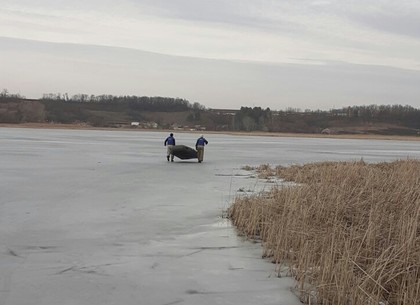 В Богодухове рыбаки провалились под лед: один утонул, второго спасли