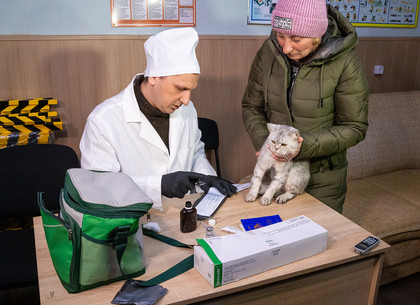 Где в Харькове можно почти бесплатно привить домашних животных против бешенства (ФОТО)