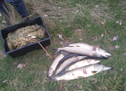 На Печенежском водохранилище задержали нарушителя с 11 кг рыбы