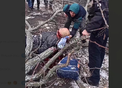 На Холодной горе дерево упало на мужчину (ВИДЕО, Обновлено)