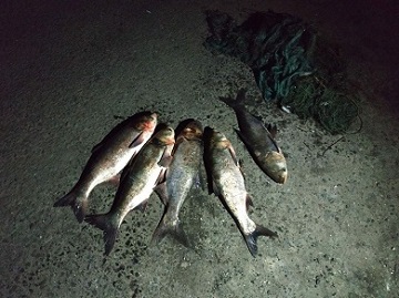 Под покровом ночи мужчина с запрещенной сеткой оправился на рыбалку (ФОТО)