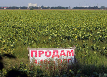 Рынок земли: Как  за закон проголосовали мажоритарщики из Харьковской области