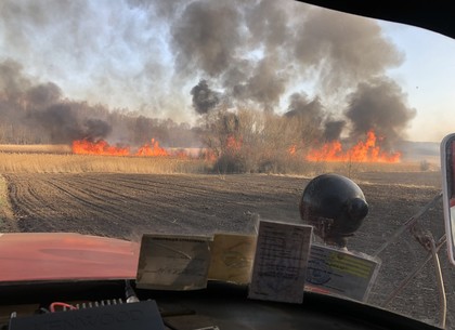 Любители сжигать траву устроили за сутки 68 пожаров (ФОТО)