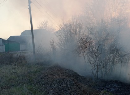 Пожарники в последний момент отсекли огонь от подпаленного сухостоя от жилого дома в пригороде Харькова