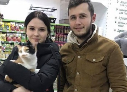 У Харкові завдяки благодійному проєкту знайшли будинок для ста котів