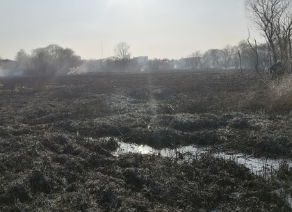 Салтовка наблюдала столб дыма: спасатели боролись с пожаром на Немышле (ВИДЕО, ФОТО)