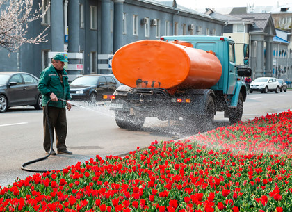 Харьковские озеленители продолжают весеннюю высадку цветов по городу (ФОТО)