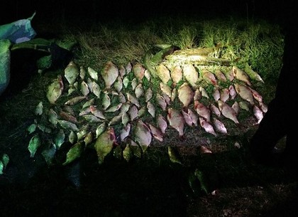 На Краснооскольском водохранилище поймали рыбного браконьера (ФОТО)