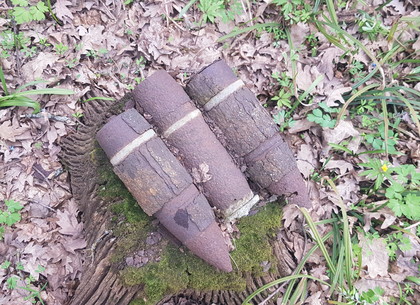 Возле «Госпрома» и в крестьянском огороде взрывотехники нашли пару сотен снарядов (ФОТО)