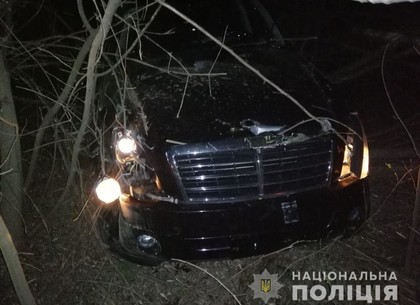 В ночь на 14 апреля 24 летний водитель внедорожника совершил последний в своей жизни обгон (ФОТО)