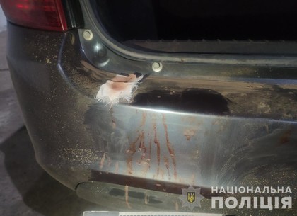 ДТП: водитель погубил женщину, спрятал труп и покаялся (ФОТО, ВИДЕО)