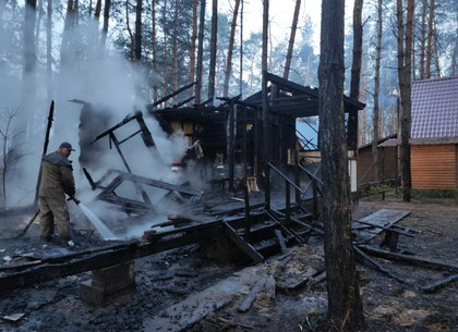 В полуночном пожаре под Харьковом заживо сгорел 20-летний парень (ФОТО, ВИДЕО)