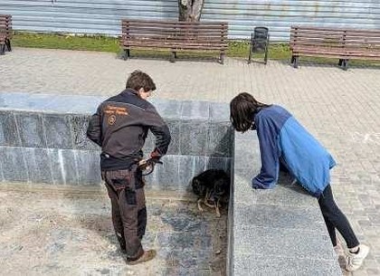 В Харькове для упавшего в фонтан пришлось вызывать спасателей (ФОТО)