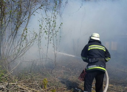 Пироманы-борцы с сухостоем едва не сожгли жилые дома в харьковском ближнем пригороде (ФОТО)