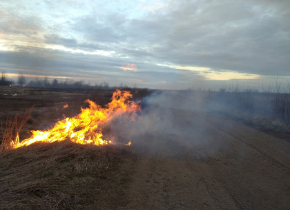 Поджоги травы продолжаются: потушено 28 пожаров
