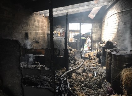 Протапливали в холодную ночь и едва не сожгли дом в ближнем пригороде Харькова (ФОТО)