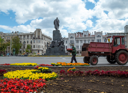 В саду Шевченко стартовала масштабная высадка цветов (ФОТО)