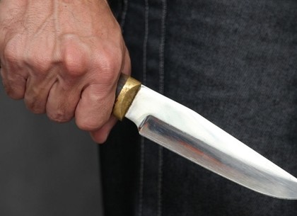 Полицейские прострелили ногу невменяемому гражданину, угрожавшему ножом