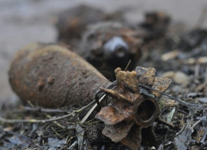 Взрывотехники обезвредили пару гранат и десяток мин, пролежавших в пригорода Харькова с прошлого века