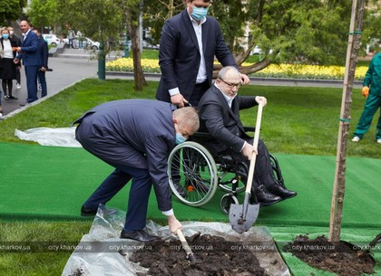 Городской голова высадил дубы на аллее в саду им. Шевченко (ФОТО)