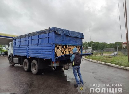 Полицейские изъяли незаконно срубленную древесину