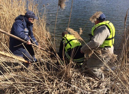 Труп в воде: в реке найден мертвым пропавший дедушка