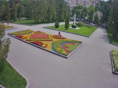 «Цветочная клептомания» в саду Шевченко среди белого дня: патрульные не приехали на вызов (ВИДЕО)
