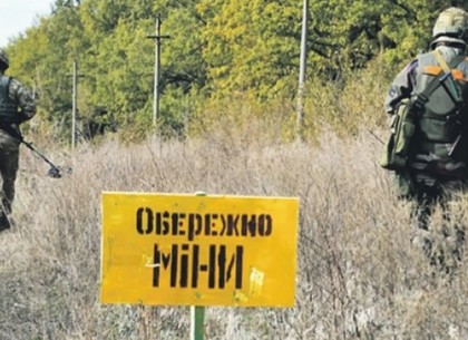 Под Харьковом за сутки обезвредили сразу три мины