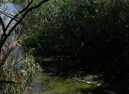 Трагедия на реке под Харьковом: утонул маленький мальчик