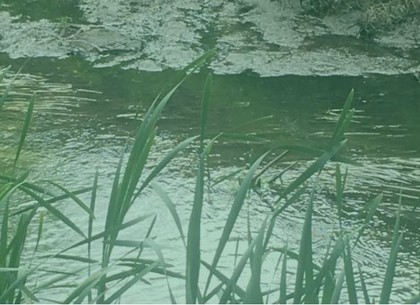 Харьковские экологи держат интригу в вопросах загрязнения речки, несущей воды в Ворсклу и Днепр (ФОТО)