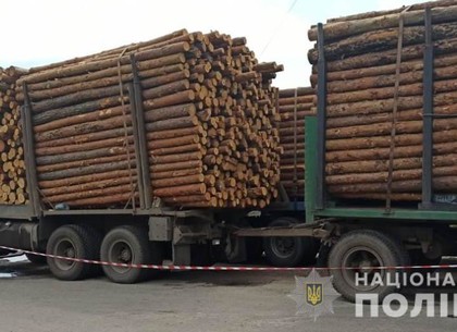 Харьковские полицейские зафиксировали факт очередной кражи леса