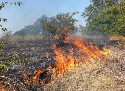 Харьковская область: спасатели за сутки ликвидировали 11 пожаров в природных экосистемах