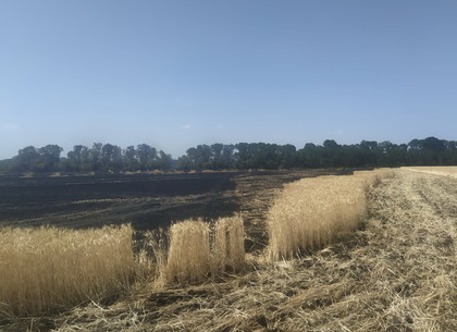 Под Харьковом снова горят пшеничные поля