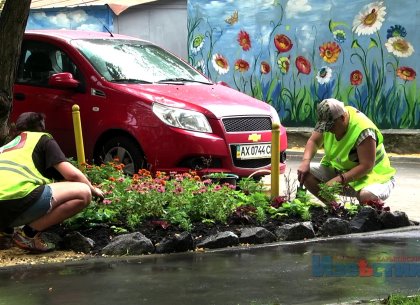 Озеленители и дворники меняют до неузнаваемости дворы в Киевском районе (ВИДЕО)